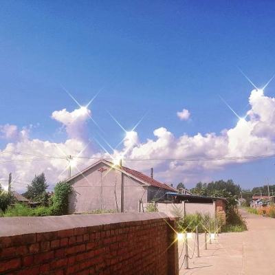 刀锋无双百度端下载